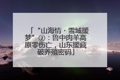 “山海情・雪域援梦”②：鲁中肉羊高原零伤亡，山东援藏破养殖密码